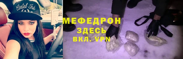 мдпв Богородицк