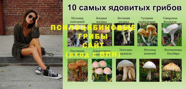 a pvp Богданович