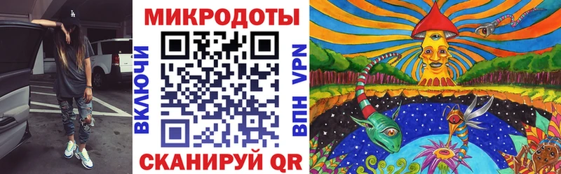 Галлюциногенные грибы Psilocybe  Канаш 